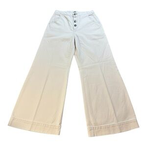 Anthropologie/ Pilcro Wide Leg Pants in Blush